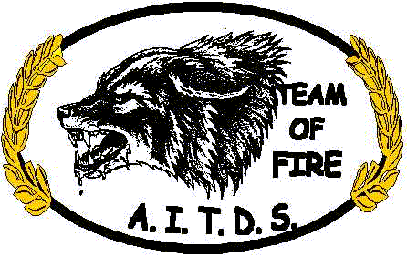 logo_teamoffire.gif (26908 byte)
