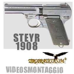 STEYR 1908