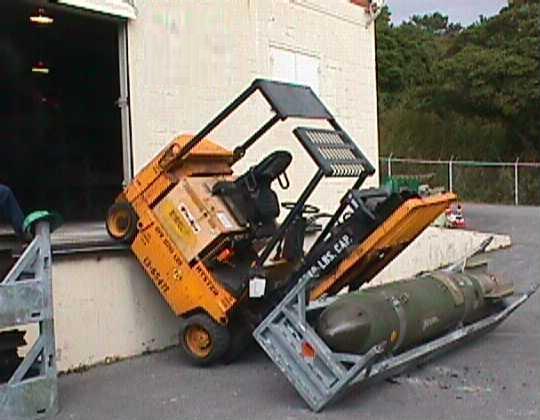 muletto.jpg (77711 byte)